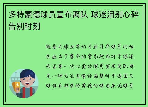 多特蒙德球员宣布离队 球迷泪别心碎告别时刻