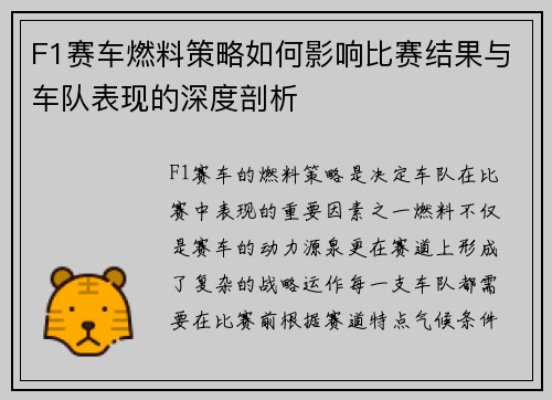 F1赛车燃料策略如何影响比赛结果与车队表现的深度剖析